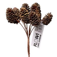 Svazek šišek S/6, 12 cm