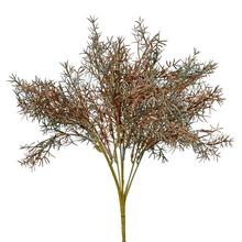 ZÁPICH ASPARAGUS ZELENOMEDENÁ 37CM - FLORASYSTEM