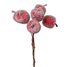 Jablíčka červené cukrové - FLORASYSTEM
