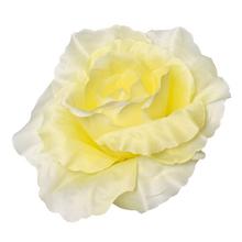 HLAVA RUŽA BL.ŽLTÁ P:10CM BAL:12KS - FLORASYSTEM