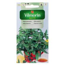 Semena máty peprné v obalu.