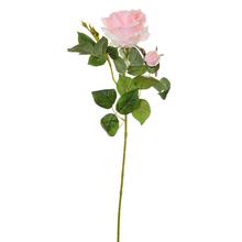 KS RUŽA BL.RUŽOVÁ 65cm - FLORASYSTEM