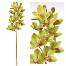 Umělá orchidej Cymbidium v zelené barvě, 74 cm.