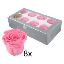 Ruža preparovaná 5cm BABY PINK /ks - FLORASYSTEM