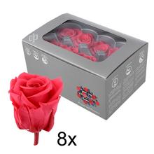 Ruža preparovaná 4cm DARK PINK /ks - FLORASYSTEM