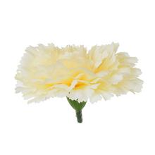 KARAFIÁT HLAVA WH101 7cm - FLORASYSTEM