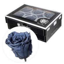 Ruža preparovaná SMOKEY GREY 5cm /ks - FLORASYSTEM