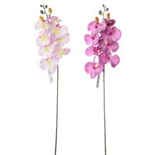 Orchidea 2F 73cm - FLORASYSTEM