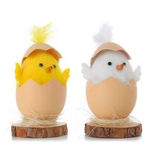 Kohout s peřím ve skořápce na dřevěném podstavci, mix barev.