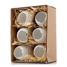 Bílý plastový box s otevřenými skořápkami, obsahuje 6 kusů.