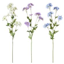 KS DELPHINIUM GRANDIFLORA 3F 82cm - FLORASYSTEM