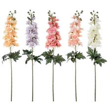 Kusovky Matthiola MIX 5 FAR - FLORASYSTEM