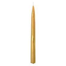 BRILIANT MET.ŠPIC 25 ZL - FLORASYSTEM