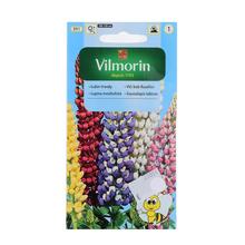 Semena lupiny mnoholisté v obalu.