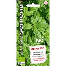 Semena bazalky pravé Genovese BIO 0,6g.