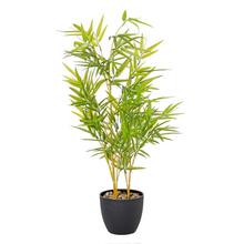 Umělý bambusový strom s výškou 80 cm v černém květináči.