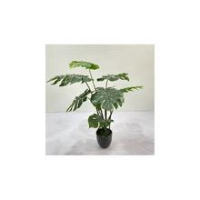 Umělá Monstera v plastovém květináči, zelená, 110 cm.