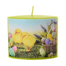 Velikonoční svíčka s kuřátky a vajíčky.