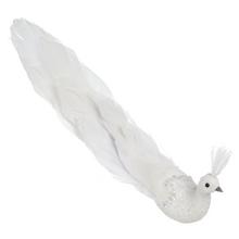 Bílý páva s glitry