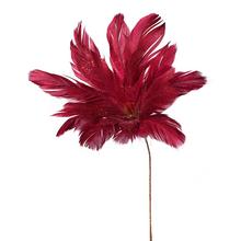 Červený peříčkový květ na dekoraci.