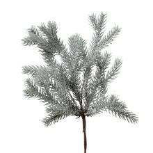 Zasněžená větvička čečinky o délce 27 cm.