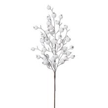 Větvička bílé šípky s bobulemi.