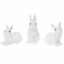 Bílé zajíčky v různých pozicích.