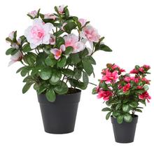 Umělé květiny azalky v květináči mix.
