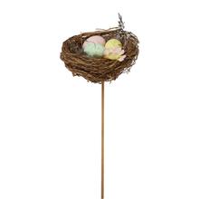 Zápich hnízdo s vajíčky