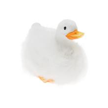 Bílá kachna s oranžovým zobákem