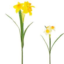 Umělé květy narcisů v mixu, 40 cm.