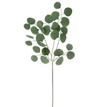 Umělé květiny Eucalyptus Populus 77 cm