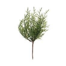 Zápich čečina Osnež