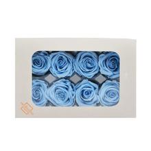 Růže preparovaná SKY BLUE, 4cm v bílé krabičce.