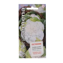 Semena pozdního květáku Octavian 0,3g.