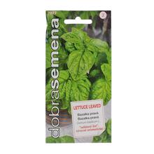 Semena pravé bazalky s listy jako hlávkový salát.