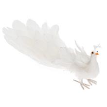 Bílý páva s dlouhým ocasem