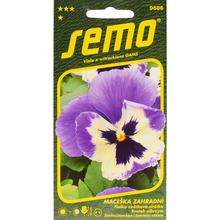 Semena macešky velkokvěté Glacier Ice Violet White.