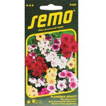 Semena květin Flox Beauty Mix 0,3g