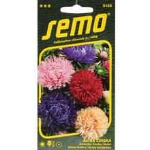 Semena Aster čínské Pivoine 0,5g od SEMO.