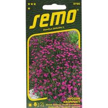 Semena hvozdíku slzičkového Maiden Pink od SEMO.
