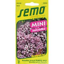 Semena bazalky Purple Ball od SEMO.