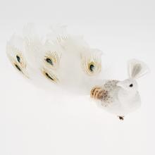 Bílý páva na sponě s peřím.