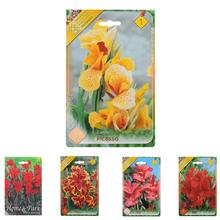 Semena Canna Mix s různými odrůdami květin.