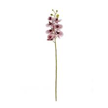 KS ORCHIDEA x7 73CM BORDOVO-BIELA