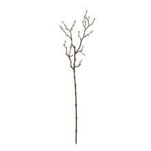 Větev bahniatka 64 cm