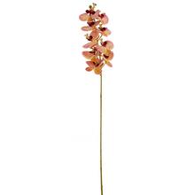 Umělá orchidej Phalaenopsis v žluto-růžovo-bordové barvě, 102 cm.