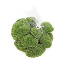 Zelené mechové kameny v síťce.