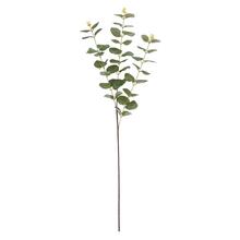 Umělé květiny Eucalyptus Cinerea zelené 83 cm