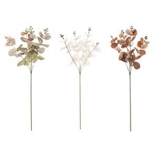 Větev eukalyptu Cinerea 4F 60CM v různých barvách.